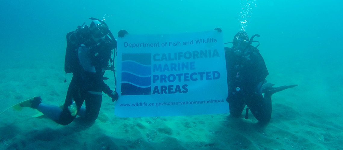 Divers holding MPA banner underwater